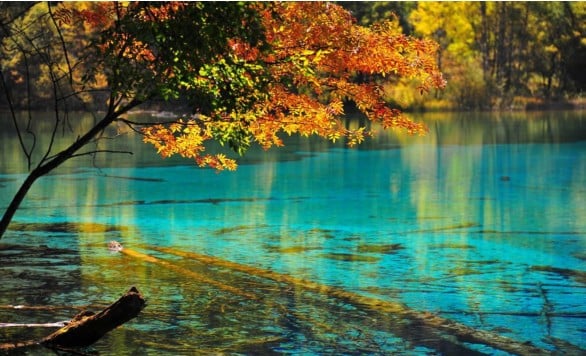 Sichuan Discovery: 7-Days Cultural & Scenic Journey